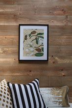 Timberwall New Zealand introduces the new timber feature wall Collection